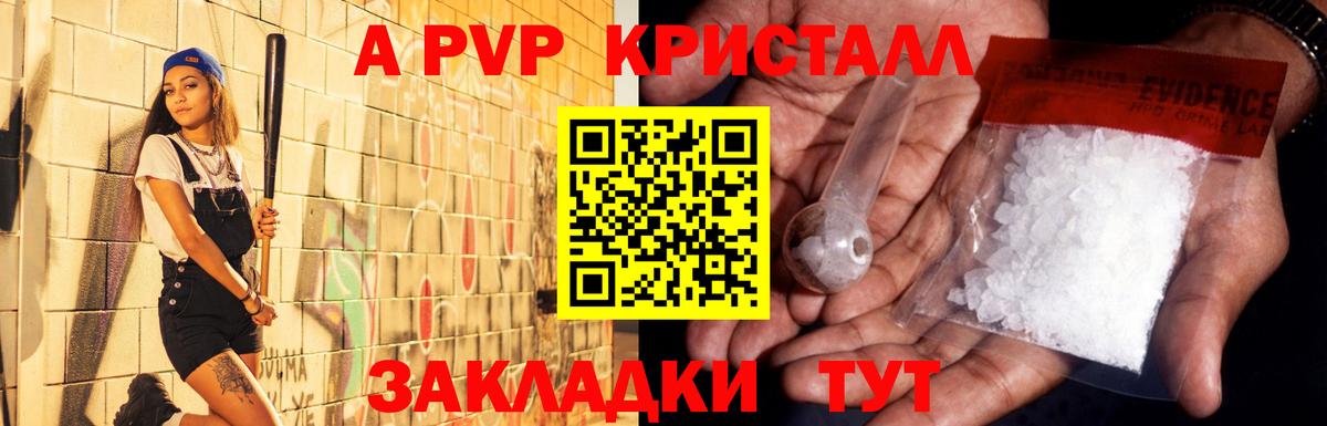 Альфа ПВП СК Керчь
