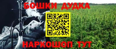ГАЛЛЮЦИНОГЕННЫЕ ГРИБЫ Кунгур